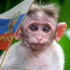 Avatar of OljerdHarmonize