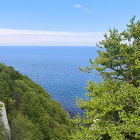 Avatar of Taj3mnicaa