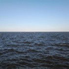 Avatar of TezisHarem