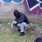 Avatar of walterfrosch85