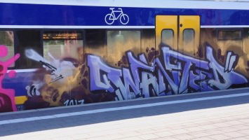 Best of the Week 33/2017