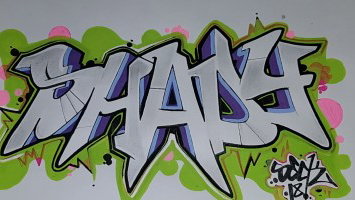 Battle "Shady" is Over!