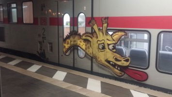 Members of the Month May 2018