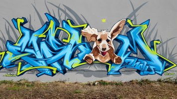 Best of the Week 17/2017