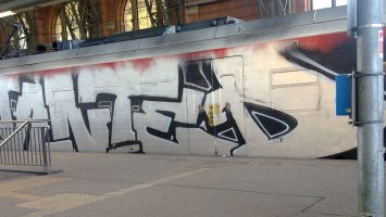 Best of the Week 5/2017