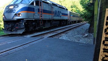 Best of the Week 32/2020