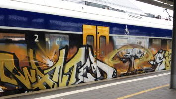 Members of the Month May 2017