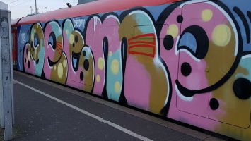 Best of the Week 11/2018