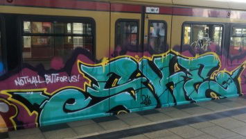 Members of the Month December 2017