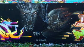 Members of the Month July 2018