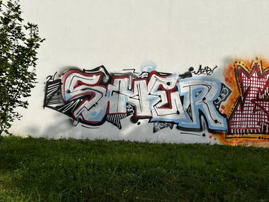 Graffiti Bombing - Photo by 0921312