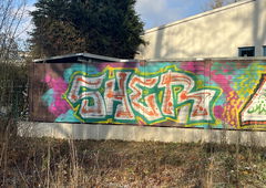 Graffiti Bombing - Photo by 0921312