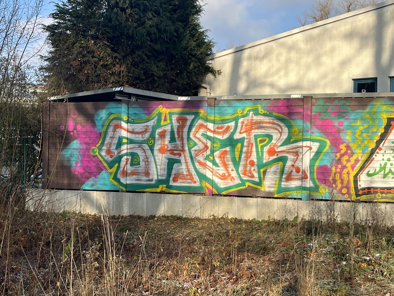 Graffiti Bombing - Photo by 0921312