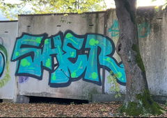 Graffiti Wall - Photo by 0921312