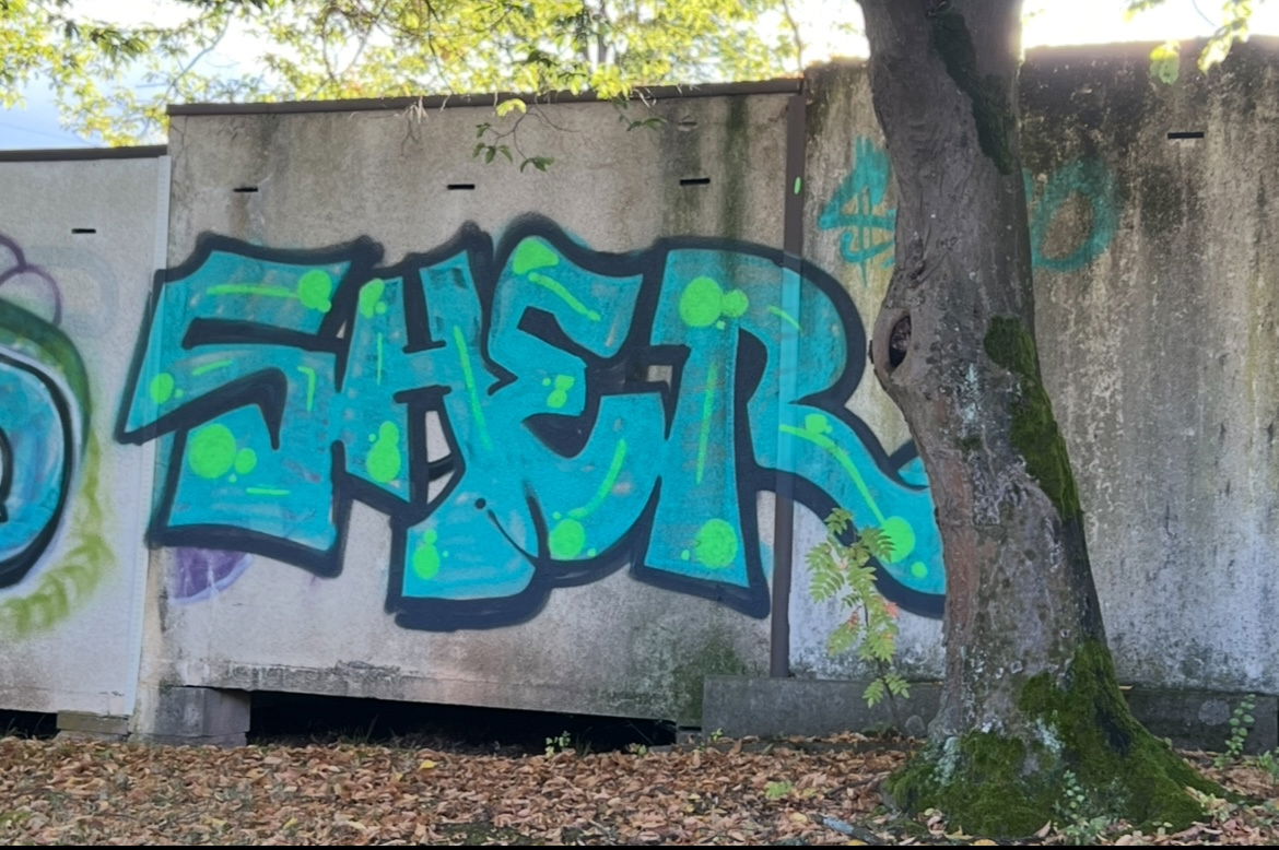 Graffiti Wall - Photo by 0921312