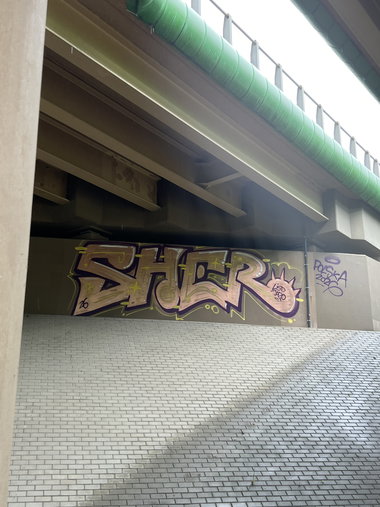 Graffiti Bombing - Photo by 0921312
