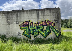 Graffiti Bombing - Photo by 0921312