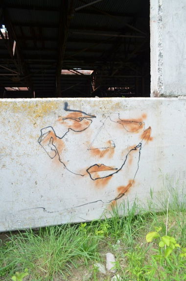 Graffiti Street Art - Photo by 0p3Nua - Pasha_Open, one_line, oneline (2015)