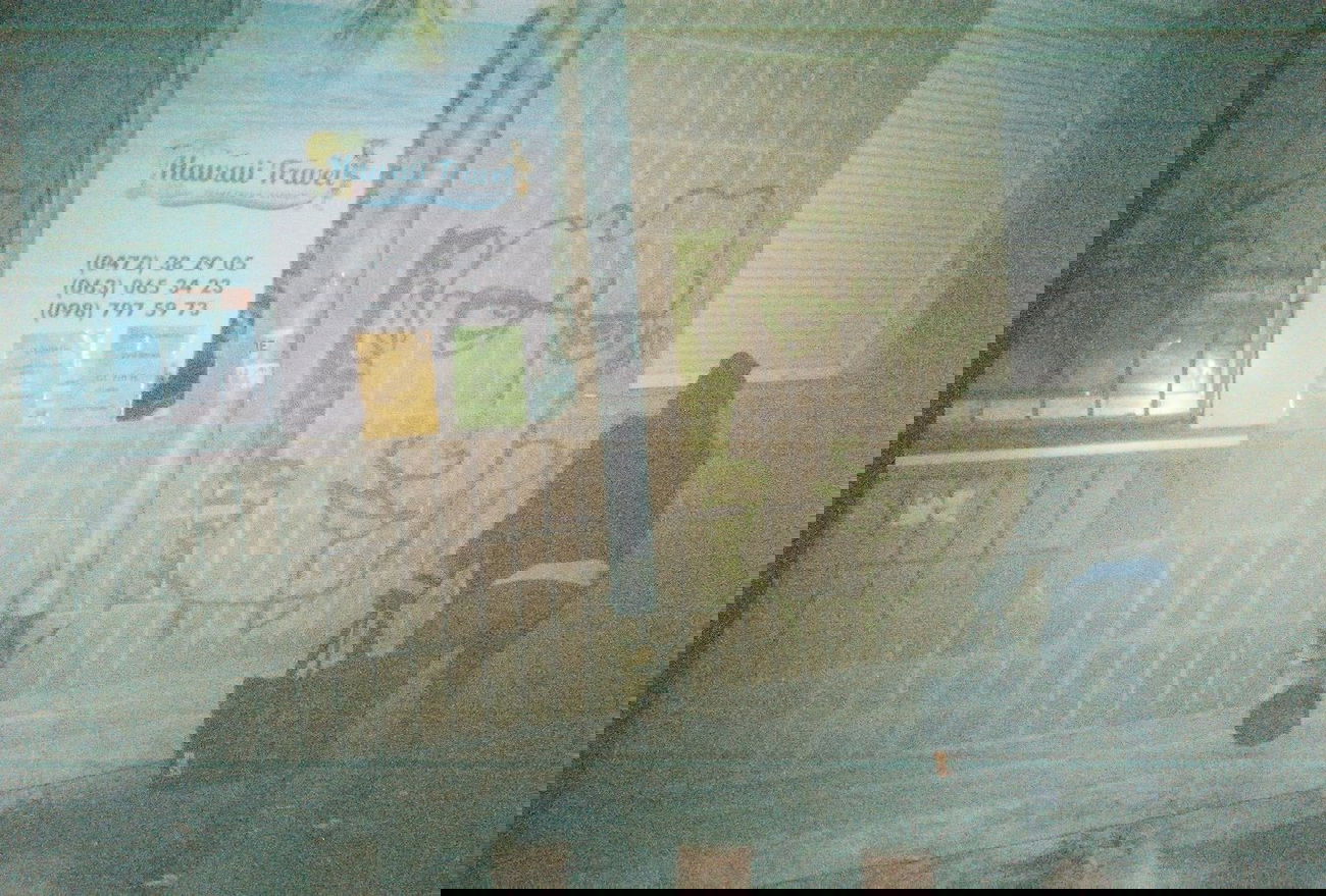 Graffiti Artwork - Photo by 0p3Nua - open, oneline, graffiti