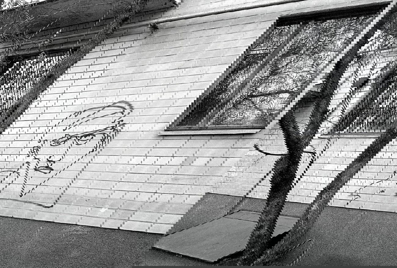 Graffiti Wall - Photo by 0p3Nua - open, oneline, graffiti (2014)