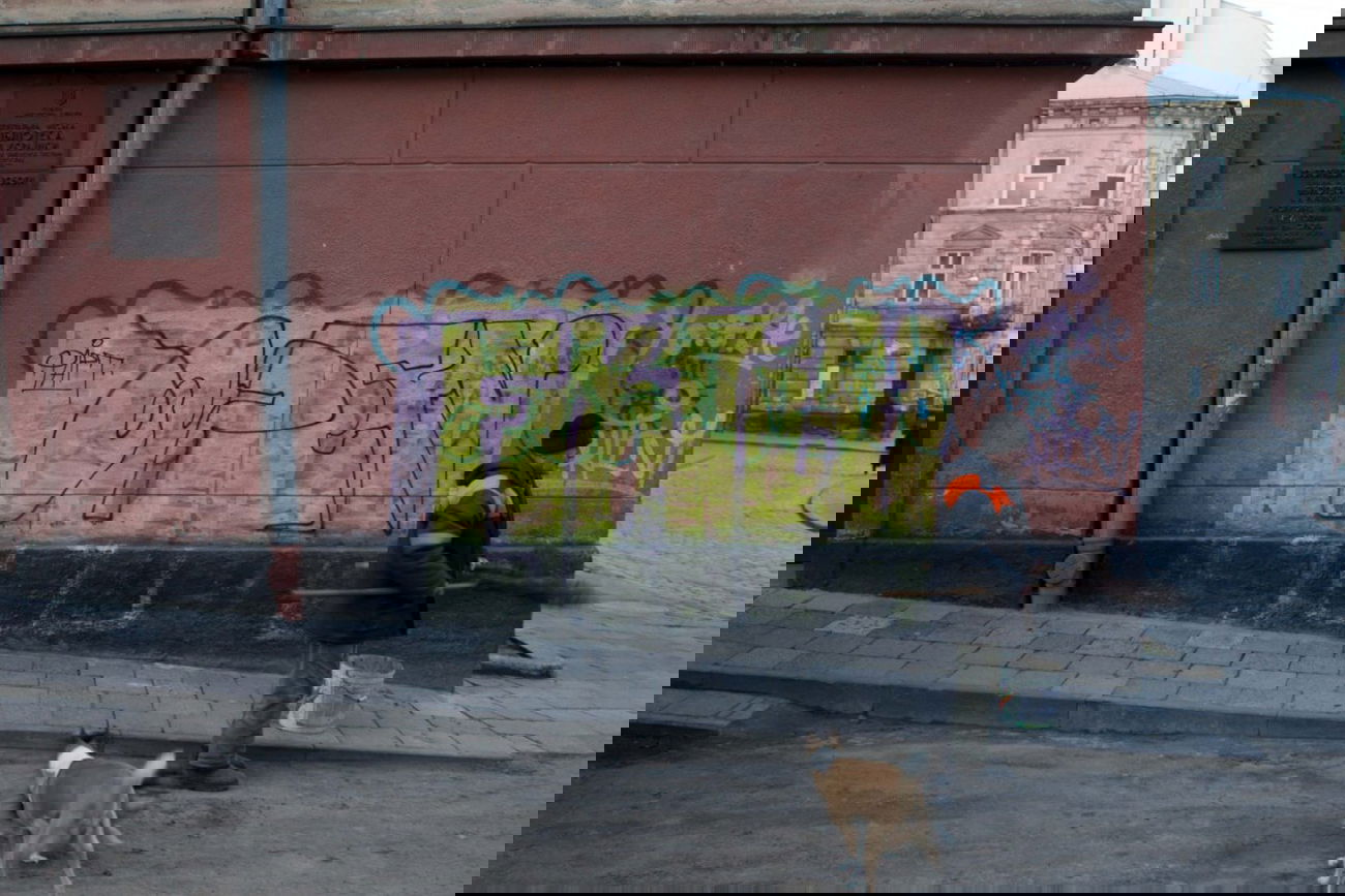 Graffiti Wall - Photo by 0p3Nua - Open, oneline (2015)