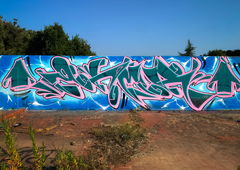 Photo #245619 by colucci357