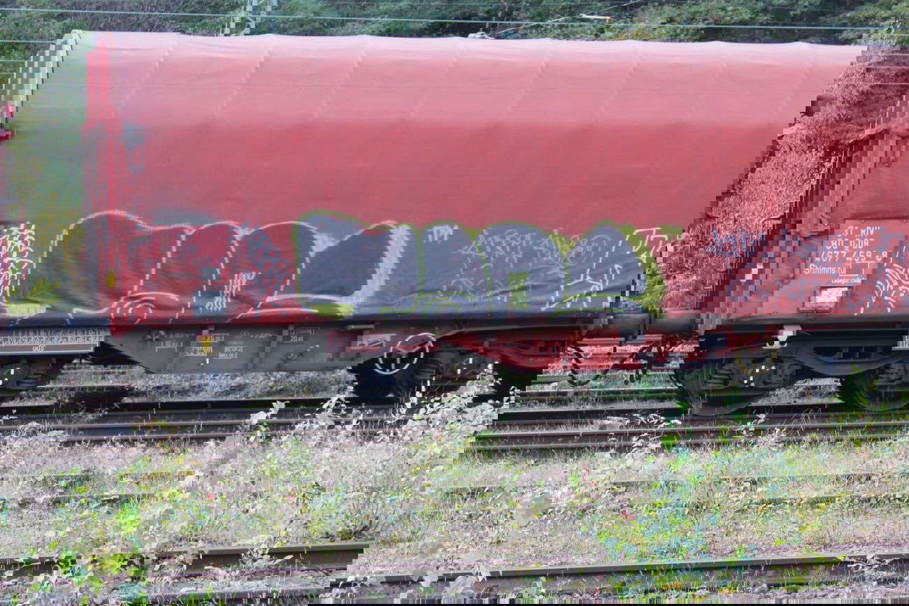 Graffiti Train - Photo by 12345 - taps