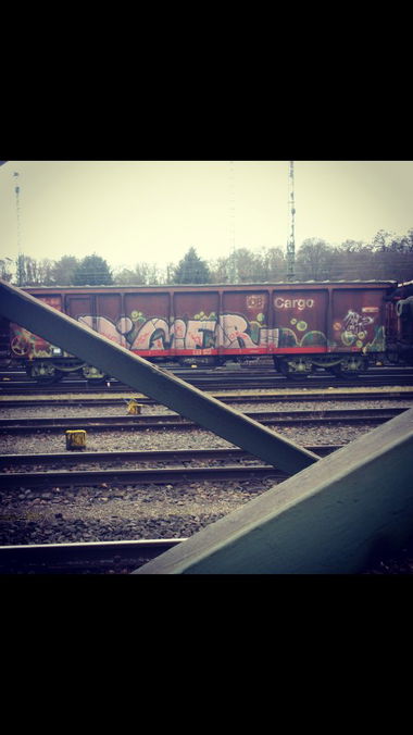 Graffiti Train - Photo by 135lizcrew - imer, shit, Crew