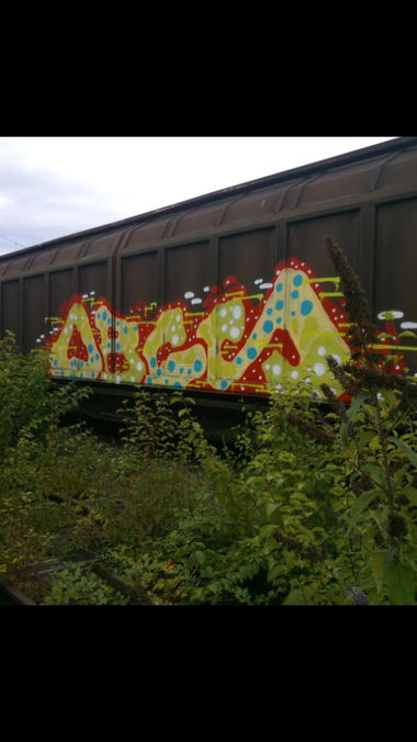 Graffiti Train - Photo by 135lizcrew - obcs, obc