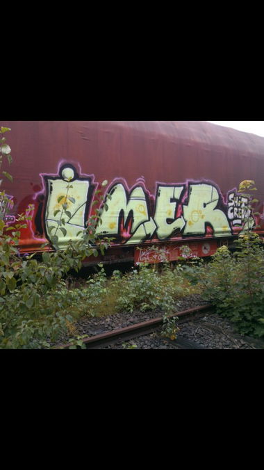 Graffiti Train - Photo by 135lizcrew - imer