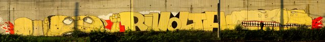 Graffiti Wall - Photo by 161gang - antifa, rivolta, spain