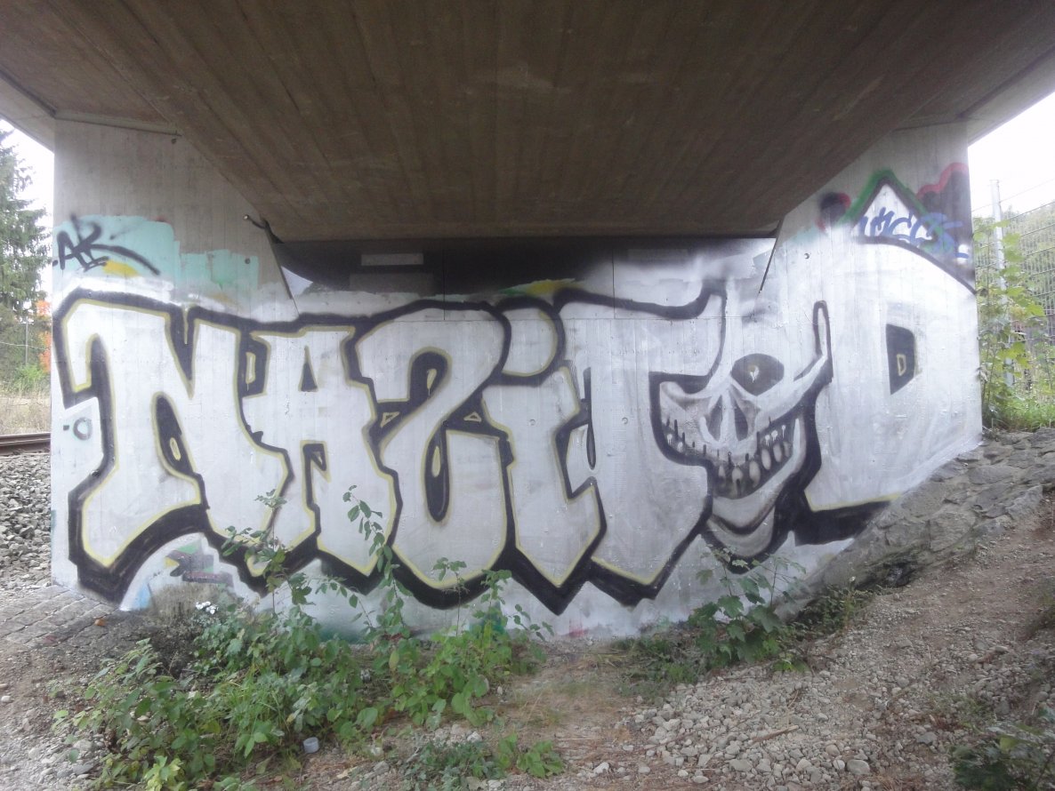 Graffiti Bombing - Photo by 161gang - nazitod, afa, munich