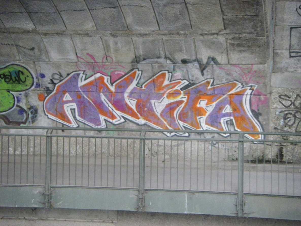 Graffiti Bombing - Photo by 161gang - antifa, munich