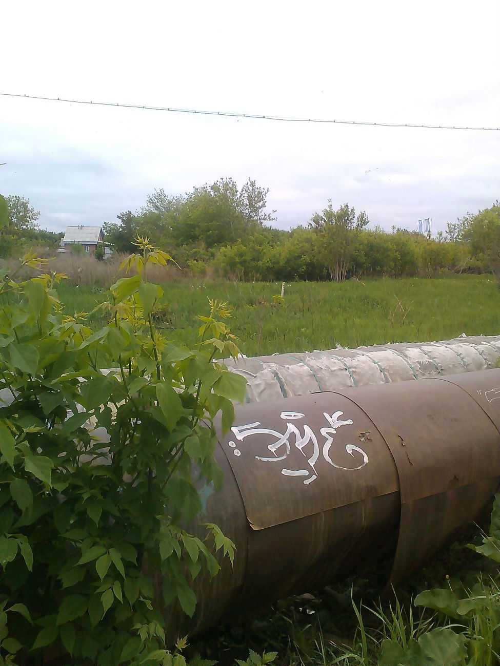 Graffiti Wall in Омск - Photo by 19xllls