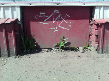 Graffiti Wall - Photo by 19xllls