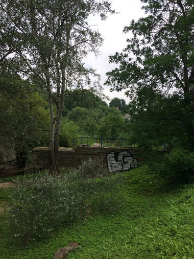 Graffiti Bombing - Photo by 1KLAS (2017)