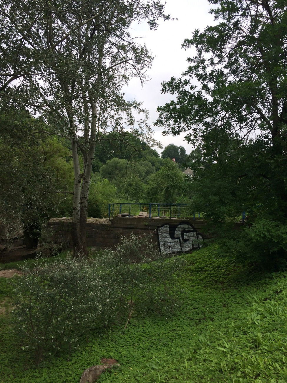 Graffiti Bombing - Photo by 1KLAS (2017)