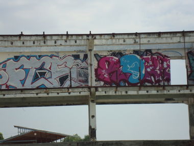 Graffiti Bombing - Photo by 1Roza5x (2013)