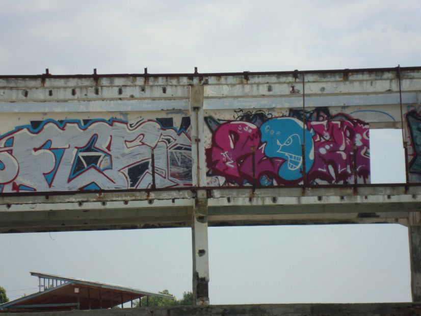 Graffiti Bombing - Photo by 1Roza5x (2013)