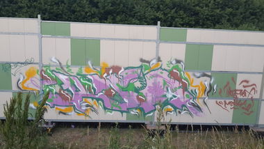 Graffiti Bombing - Photo by 1Roza5x (2013)