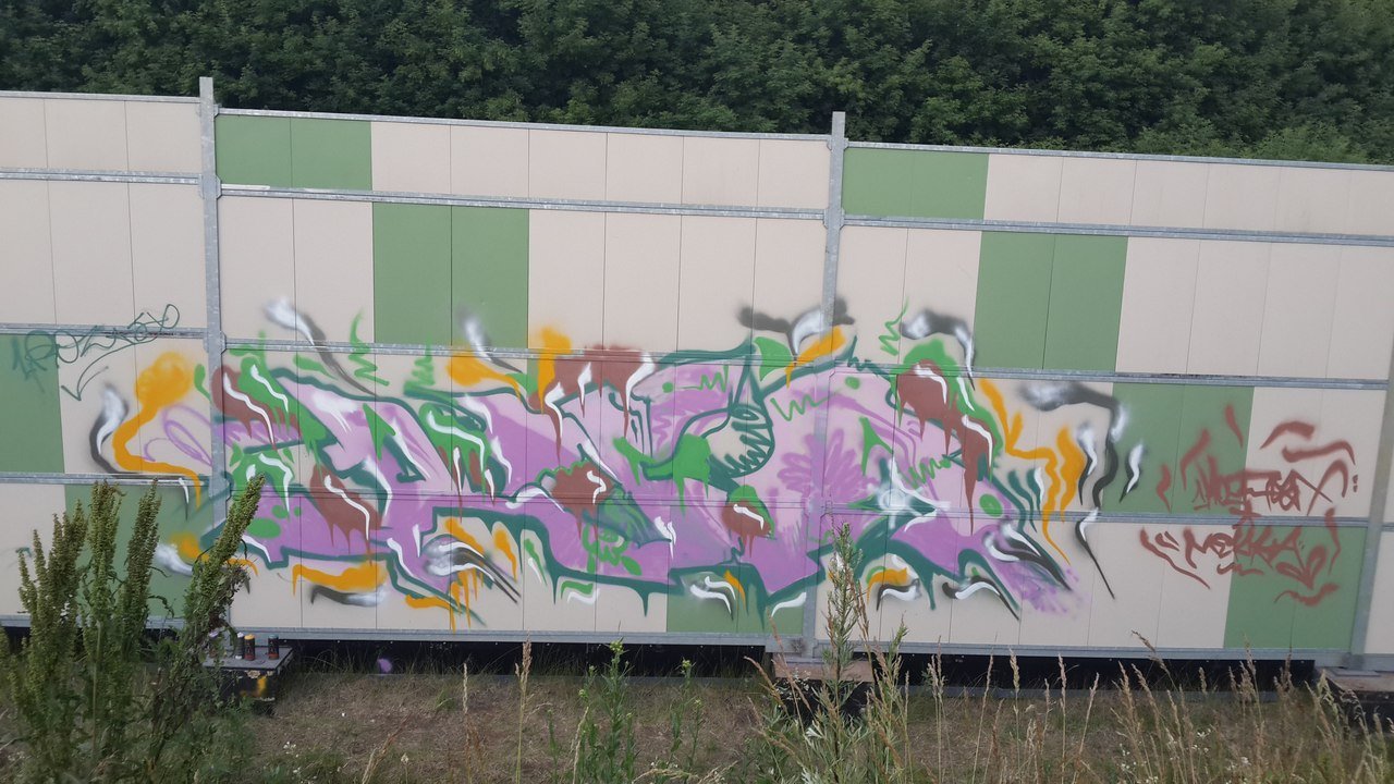 Graffiti Bombing - Photo by 1Roza5x (2013)