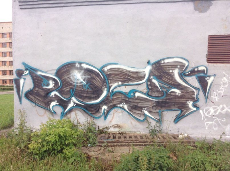 Graffiti Bombing - Photo by 1Roza5x (2013)