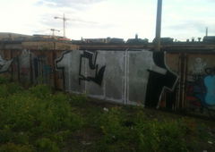 Photo #90432 by TagHagel