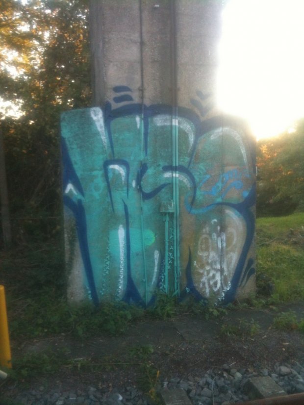 Graffiti Bombing - Photo by 1one9 - wsc