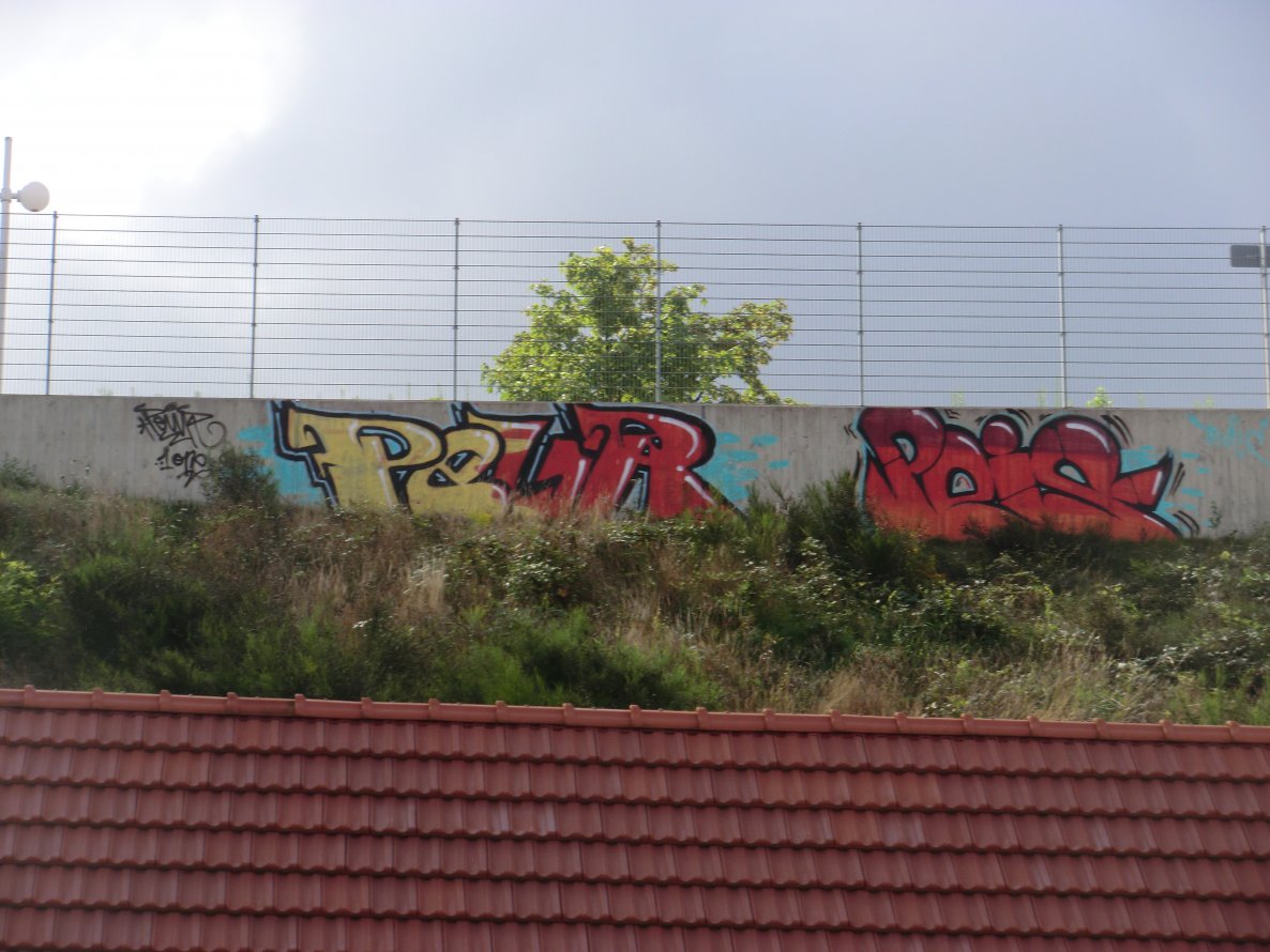 Graffiti Wall in Saarbrücken - Photo by 1one9 - peur, peis, wsc