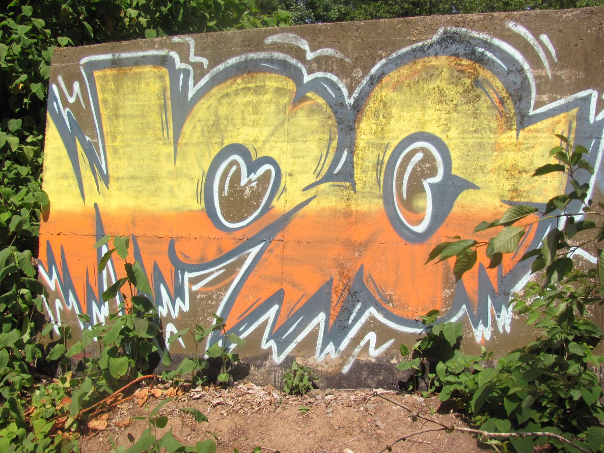 Graffiti Wall - Photo by 1one9 - wsc (2014)