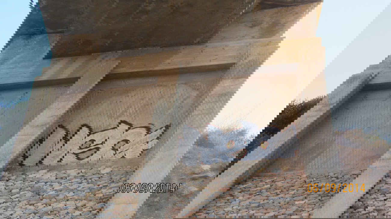 Graffiti Bombing - Photo by 1one9 - wsc (2014)