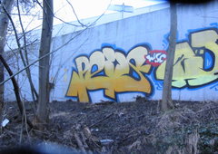 Photo #115381 by Sb12