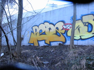 Graffiti Bombing - Photo by 1one9 - peis, wsc (2013)
