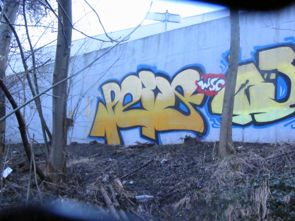 Graffiti Bombing - Photo by 1one9 - peis, wsc (2013)